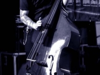 Picking Bones Festival, Diest, Belgium by Moomerfoto