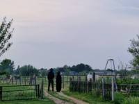 Chopper & Mather at Roots in the Jar- by Franziska Abe