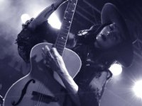 Roots in the Jar - photo by Moomar