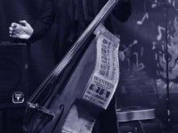 Roots in the Jar - photo by Moomar