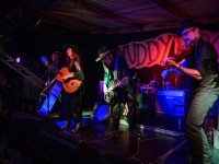 Rustic Stomp by Matthew Rayner