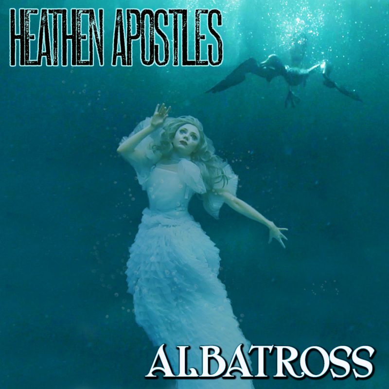 Albatross cover